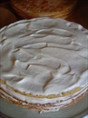 Пошаговое фото рецепта «Творожно-медовый торт»