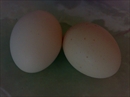 Пошаговое фото рецепта «Мраморные яйца»
