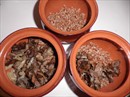 Пошаговое фото рецепта «Каша гречневая по-польски с грибами»